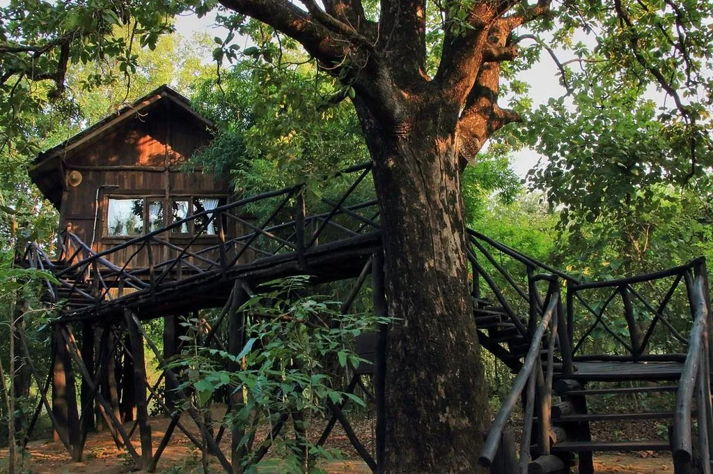 tiger safari lodges 2