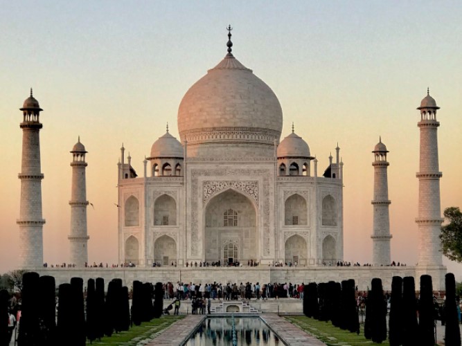 Tiger Safari and Taj Mahal tour