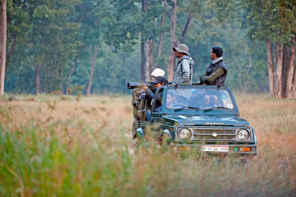 Wildlife photographers on safari in India