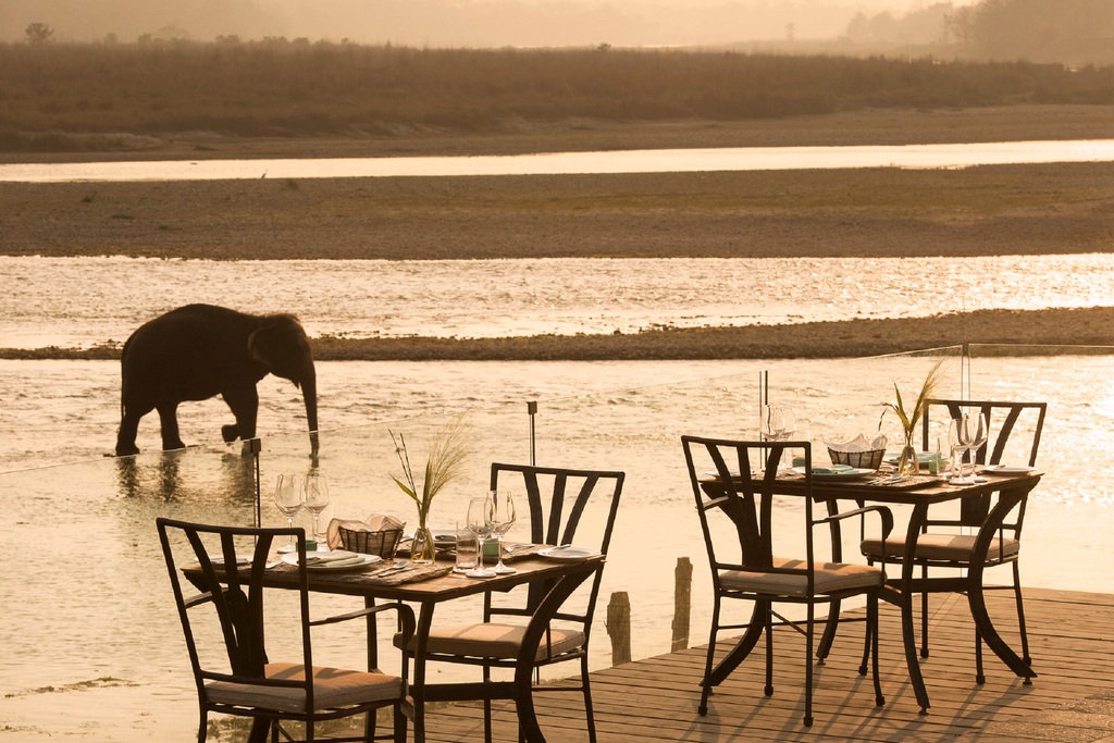 luxury wildlife lodge dining