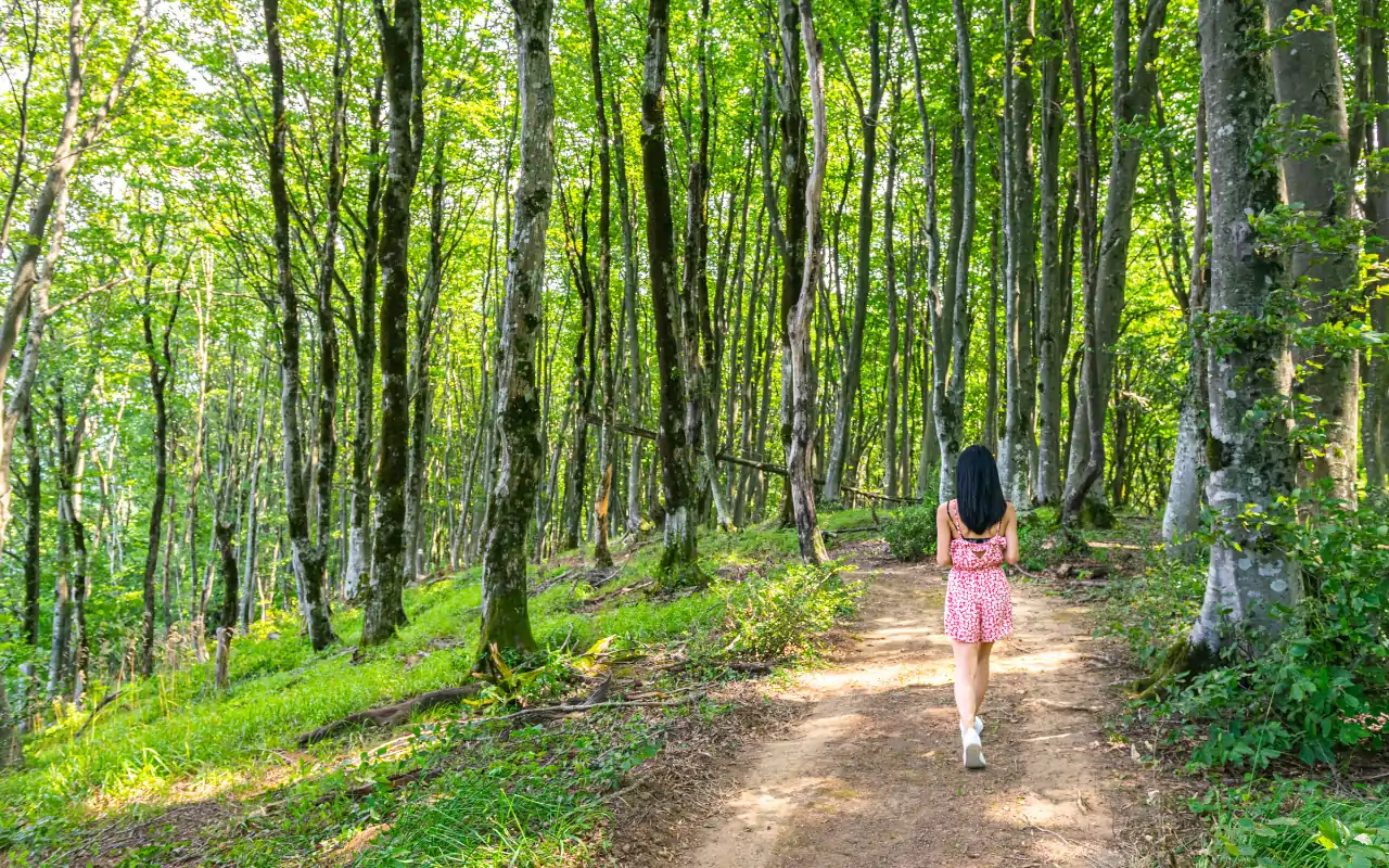 Connection and Mindfulness