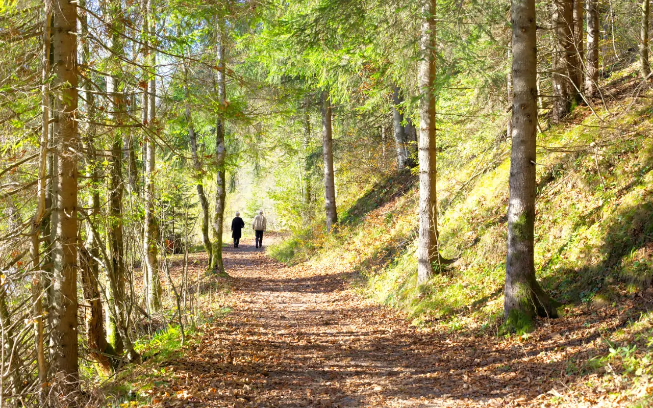 Health Benefits of Nature Safaris