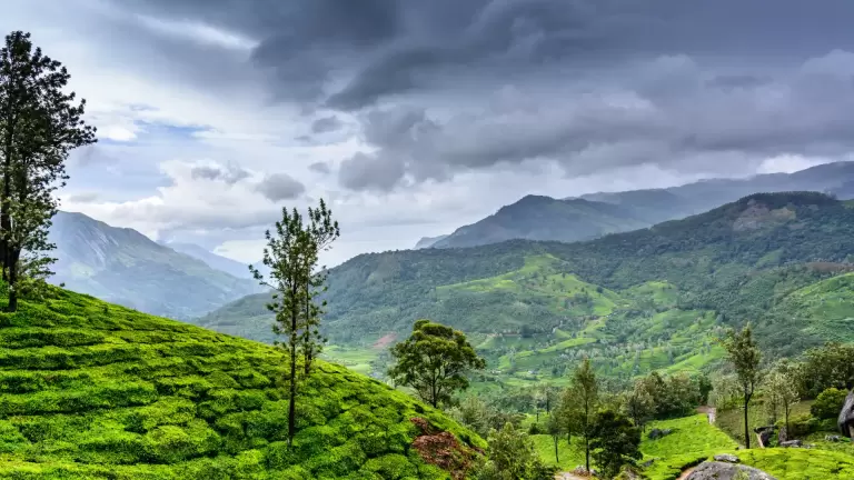 Trees Across India Forest Types Climate, Biodiversity, and Conservation
