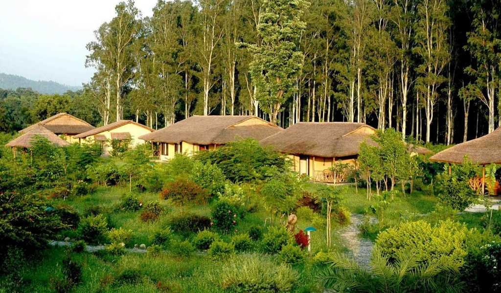 Jim’s Jungle Retreat