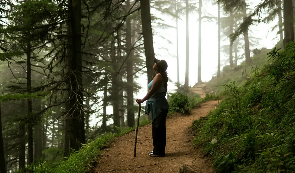 Woman Hiking in Misty Forest Trail